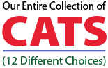 Cats (10 Different Choices)