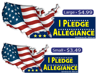 I Pledge Allegiance To The USA pledge, allegiance, flag, united states of america, united states, america, united, states, salute