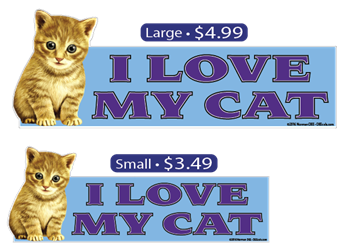 I Love My Cat cat, cats, kitty, kitten, kittens, love, my