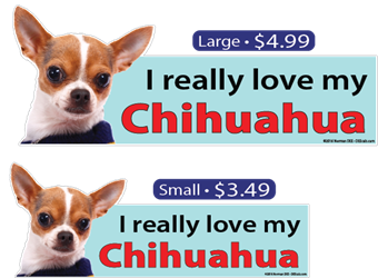 I Love My Chihuahua Chihuahua, chihuahuas, dog, dogs, love, my