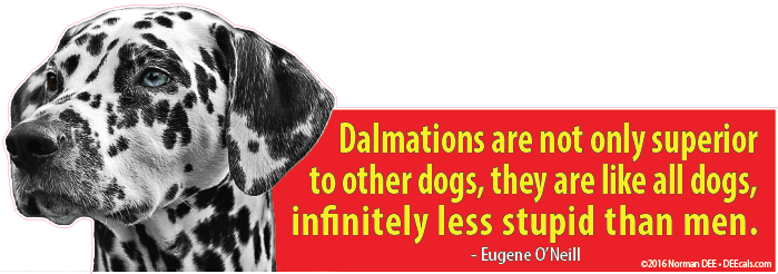 Less Stupid dalmation, dalmations, dog, dogs, superior, stupid, infinite, infinitely, man, men, people, human, humans, person,