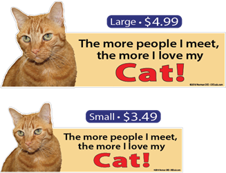 ... The More I Love My Tabby Cat tabbycat, tabbycats, tabby, cat, cats, love, my